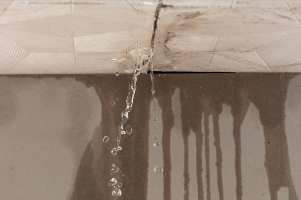 Professional Water Extraction technician working in Parker City, IN